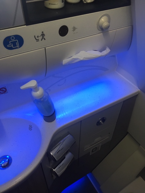 SN_2019_BoutiqueHotel_businessclass_WC1